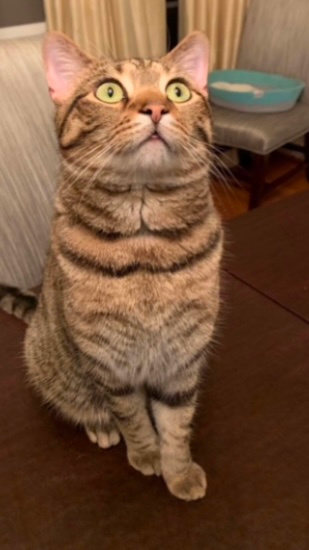 Pablo Pablo