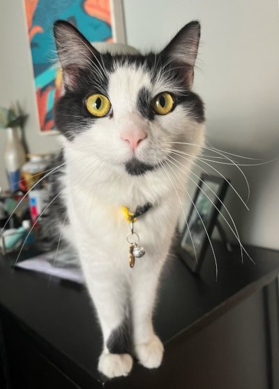 Max Dennison Max Dennison